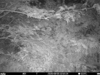 Sep 5 2025  0:00:31, #01