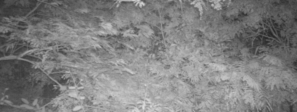 Sep 5 2025  3:00:31, #01