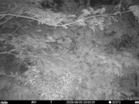Sep 5 2025  3:00:31, #01