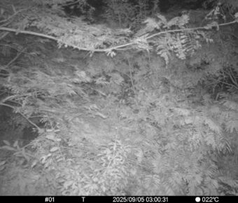 Sep 5 2025  3:00:31, #01