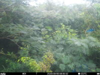 Sep 5 2025  6:00:32, #01
