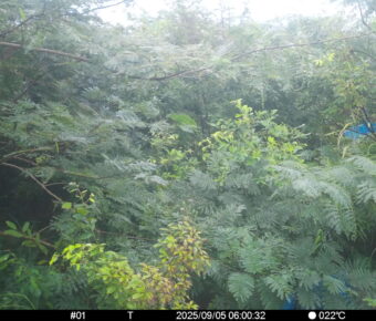 Sep 5 2025  6:00:32, #01