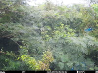 Sep 5 2025  9:00:31, #01