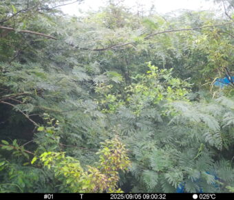 Sep 5 2025  9:00:31, #01