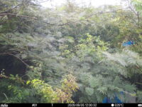Sep 5 2025 12:00:32, #01