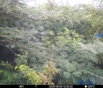 Sep 5 2025 12:00:32, #01