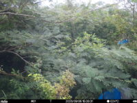 Sep 5 2025 15:00:31, #01