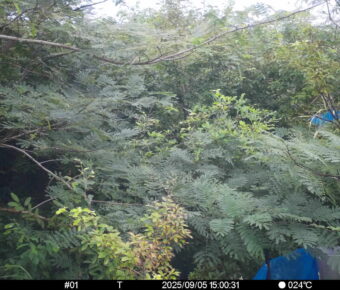 Sep 5 2025 15:00:31, #01