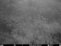 Sep 5 2025 18:00:32, #01