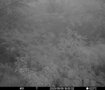 Sep 5 2025 18:00:32, #01