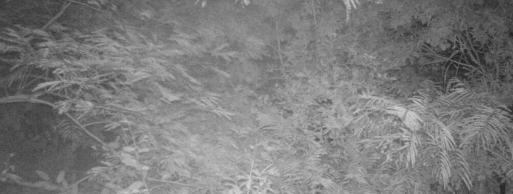 Sep 5 2025 21:00:32, #01