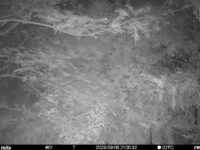 Sep 5 2025 21:00:32, #01