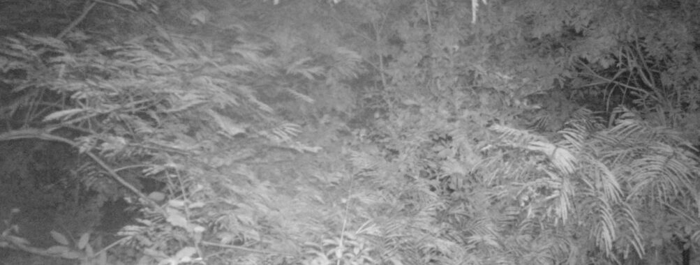 Sep 6 2025  0:00:31, #01