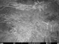 Sep 6 2025  0:00:31, #01