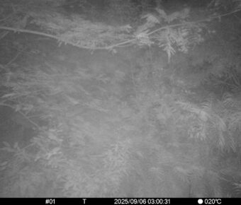 Sep 6 2025  3:00:31, #01