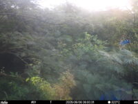 Sep 6 2025  6:00:31, #01