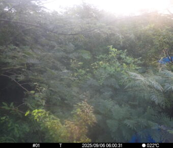 Sep 6 2025  6:00:31, #01