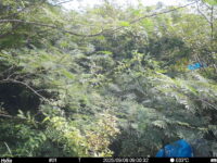 Sep 6 2025  9:00:31, #01