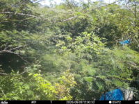 Sep 6 2025 12:00:32, #01
