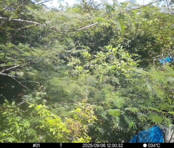 Sep 6 2025 12:00:32, #01