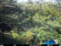 Sep 6 2025 15:00:31, #01