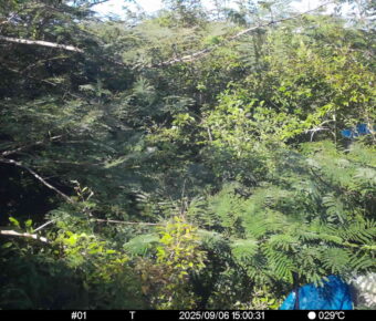 Sep 6 2025 15:00:31, #01