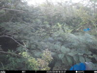 Sep 6 2025 18:00:30, #01