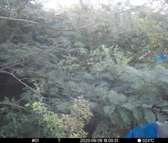 Sep 6 2025 18:00:30, #01