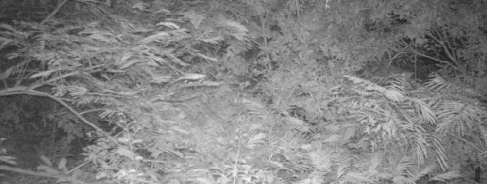 Sep 6 2025 21:00:32, #01