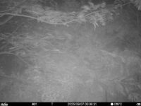 Sep 7 2025  0:00:31, #01