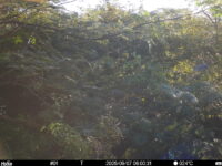Sep 7 2025  6:00:31, #01