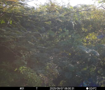 Sep 7 2025  6:00:31, #01