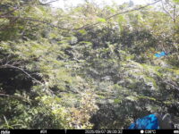 Sep 7 2025  9:00:31, #01