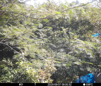 Sep 7 2025  9:00:31, #01