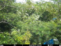 Sep 7 2025 12:00:32, #01