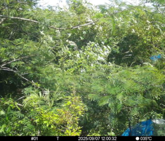 Sep 7 2025 12:00:32, #01