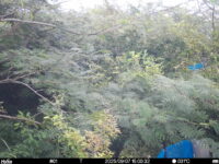 Sep 7 2025 15:00:32, #01