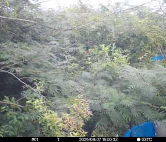 Sep 7 2025 15:00:32, #01