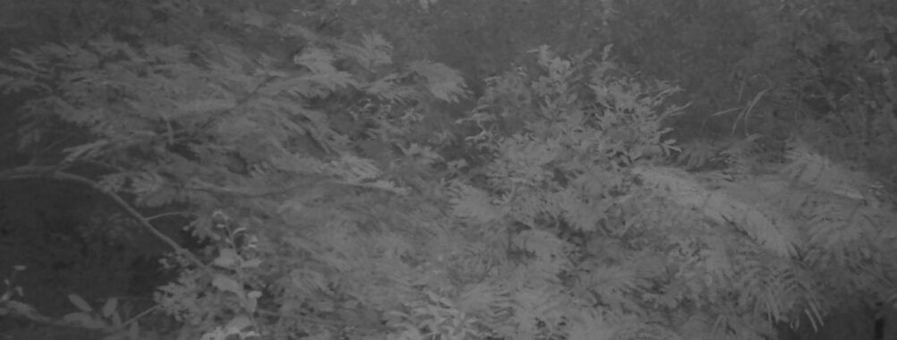 Sep 7 2025 18:00:32, #01
