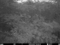 Sep 7 2025 18:00:32, #01