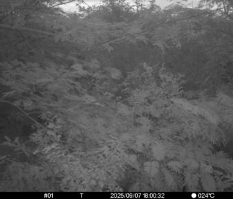 Sep 7 2025 18:00:32, #01