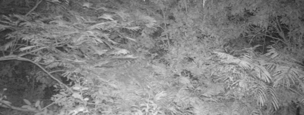 Sep 7 2025 21:00:32, #01