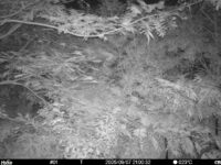 Sep 7 2025 21:00:32, #01