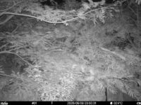 Sep 8 2025  3:00:31, #01