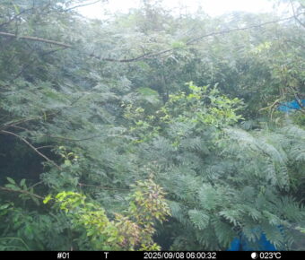 Sep 8 2025  6:00:32, #01