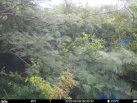 Sep 8 2025  9:00:31, #01