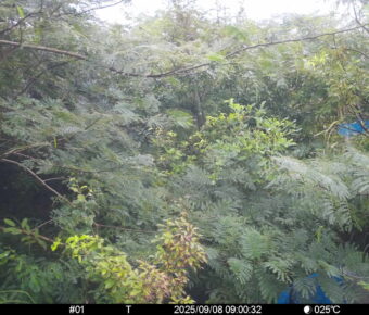 Sep 8 2025  9:00:31, #01