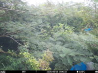 Sep 8 2025 12:00:32, #01