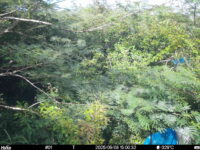 Sep 8 2025 15:00:31, #01