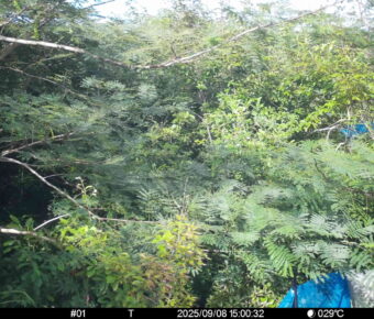 Sep 8 2025 15:00:31, #01